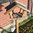 Vogelhaus Modell Bird House